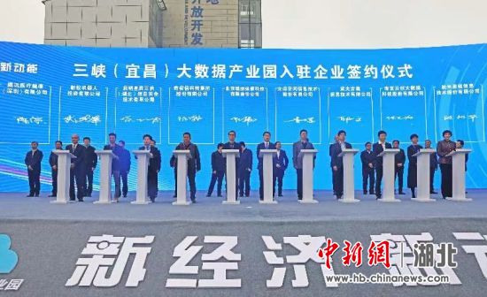 张晓梦 摄