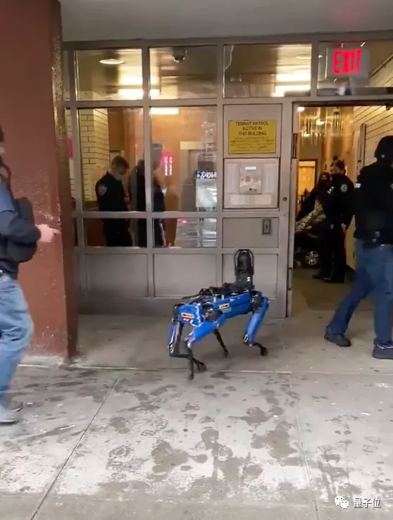 波士顿动力机器狗化身警犬入宅执法,网友:不想生活在《黑镜》里