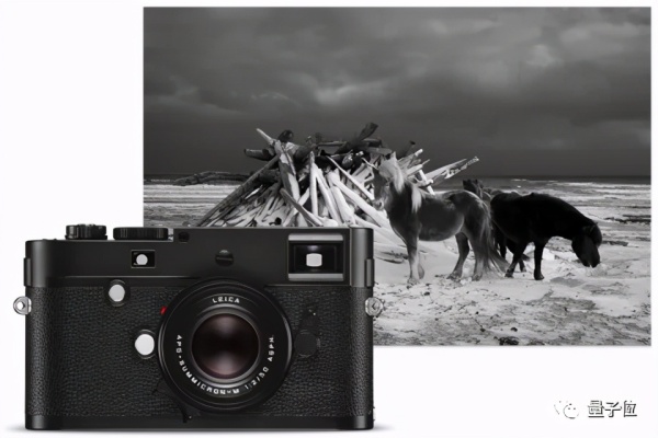 AI给老照片上色,真的准吗?技术圈和历史圈吵了1000帖