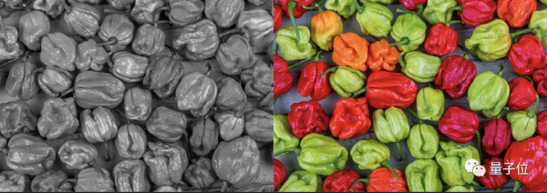 AI给老照片上色,真的准吗?技术圈和历史圈吵了1000帖