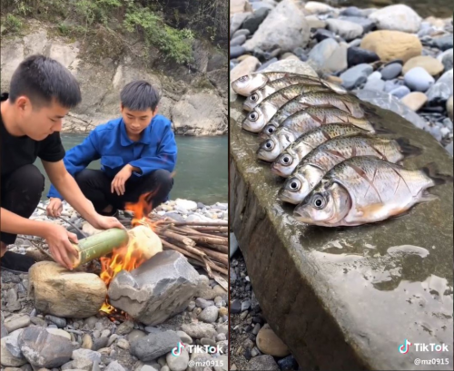 李子柒之后 TikTok上的中国乡野美食大受欢迎