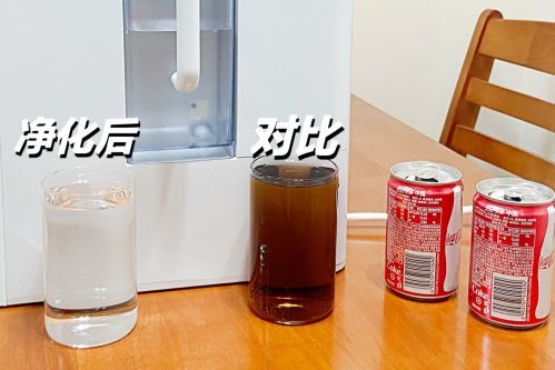 Miss Xi熊小夕独角兽净饮机评测: 花小钱办大事,让全家人享受“看得见的纯净水”