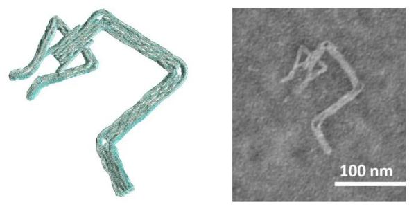 DNA机器人进化!这款软件能用几分钟造出复杂结构纳米设备,进入你的身体执行任务