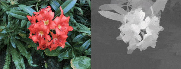 做出电影级的 CG 渲染！斯坦福大学研究人员提出神经光图渲染