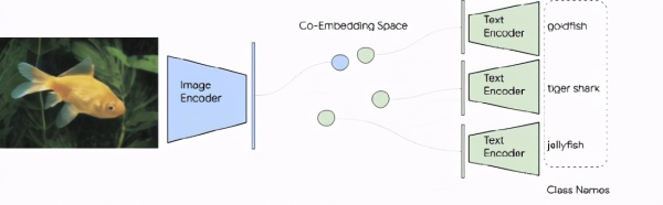 过半作者是华人!Google Research图像表征模型ALIGN霸榜ImageNet