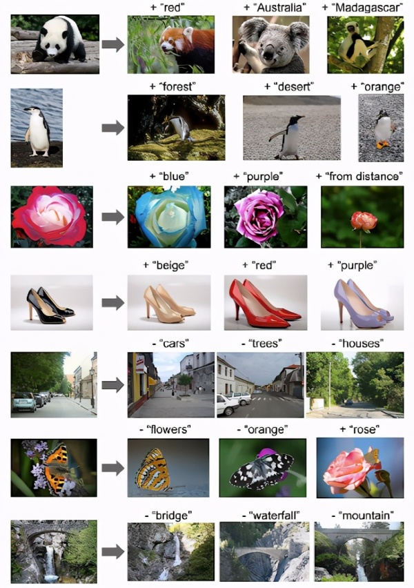 过半作者是华人!Google Research图像表征模型ALIGN霸榜ImageNet