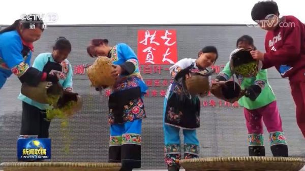 脱贫地区乡村振兴进行时 大数据助力“华丽蜕变”