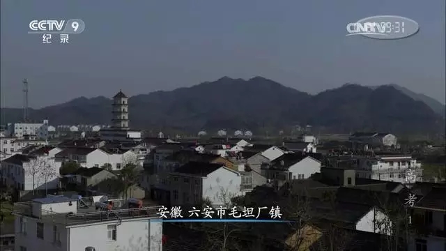 撇开高考超级工厂,衡水和毛坦厂还剩什么?