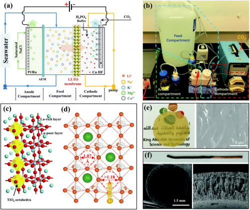 “白菜锂时代”即将开启?沙特研发海水提锂新工艺 5美元就能产1公斤
