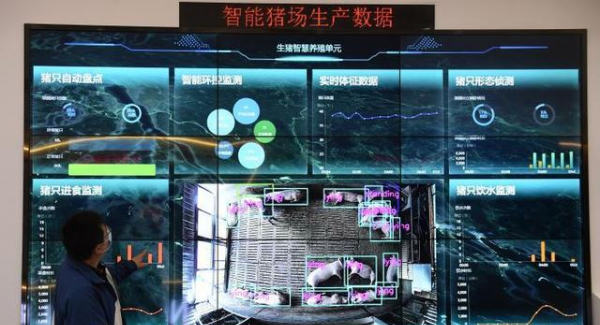 首个国家级生猪大数据中心在重庆建立