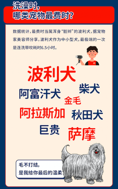 宠物家发布报告：犬类洗澡价格普遍低于猫咪 迷你贵宾平均一年洗澡20次