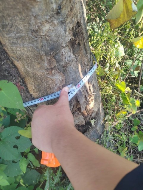 理想发文回应理想L9失控致1死3伤事故:不存在车机失控问题